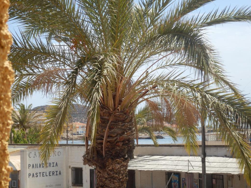Apartamentos Taravilla P26 El Puerto de Mazarrón Rom bilde